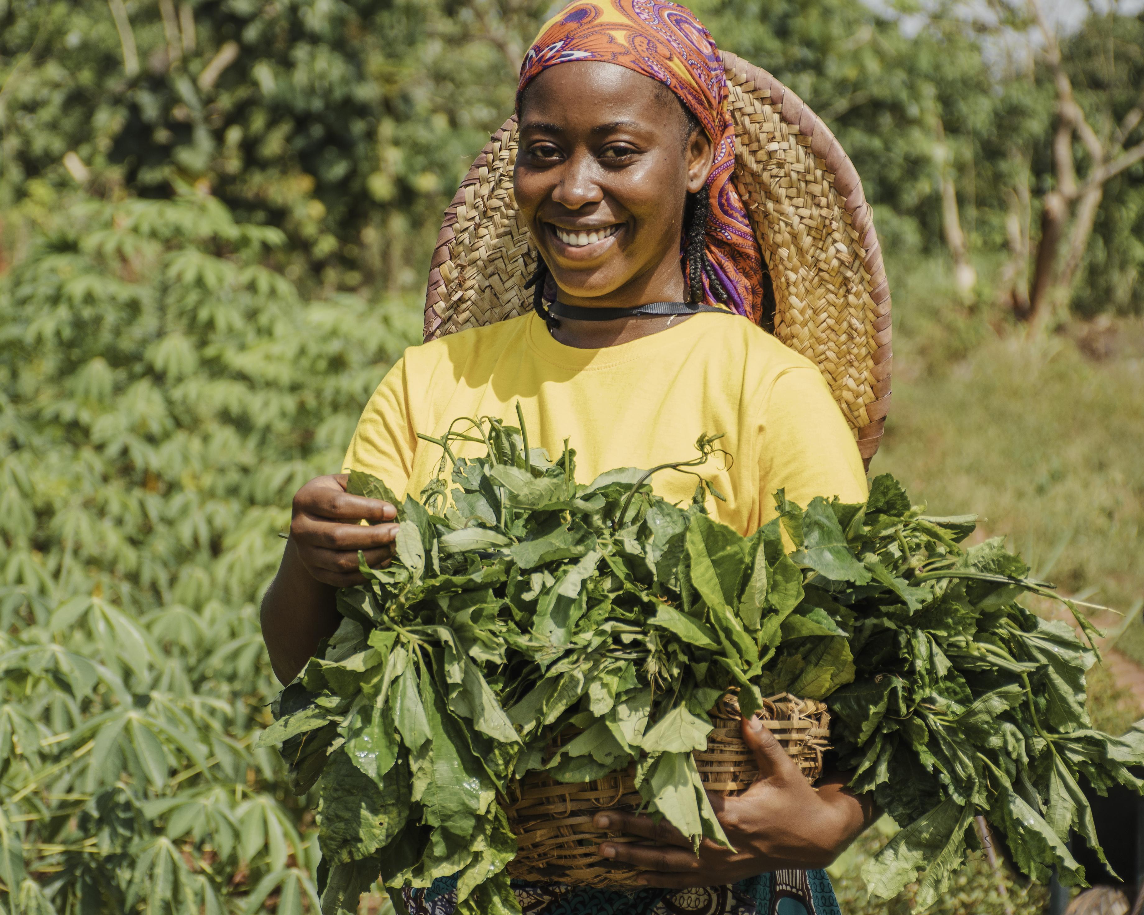 Farming and agricultural financing